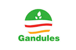 gandules